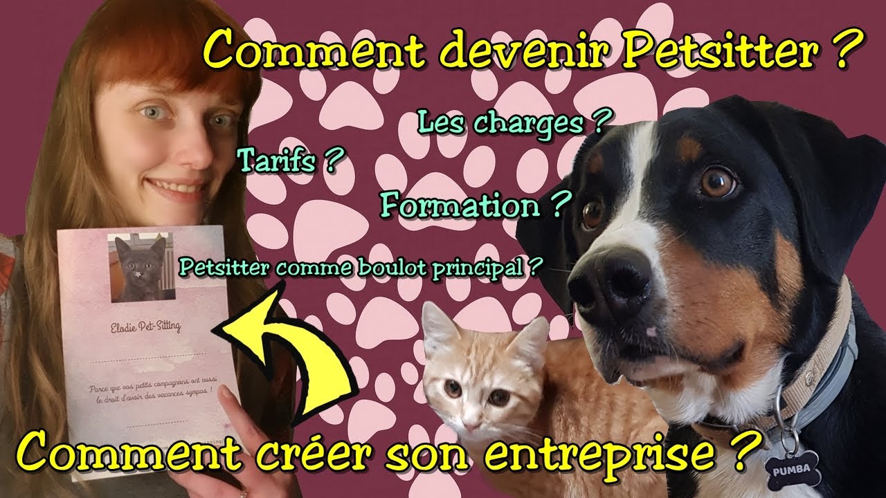 Comment devenir Petsitter ? Comment créer son entreprise ?