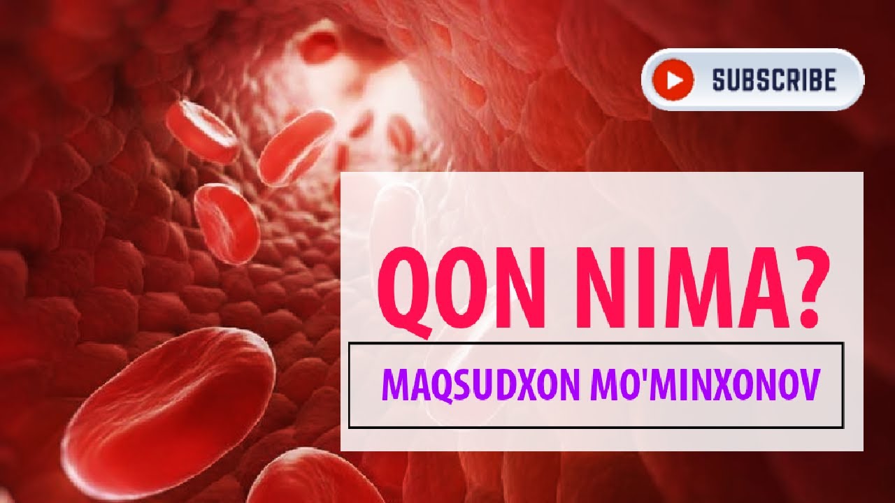 Qon - organizm ichki muhiti | @Maqsudxon_Mominxonov