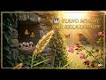 🎹 PIANO MUSIC FOR RELAXATION#PianoRelaxation #NatureSounds #TheGoldenNote #MeditationMusic #BirdSong