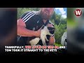Taxi driver finds kitten inside car grille after driving hundreds of miles