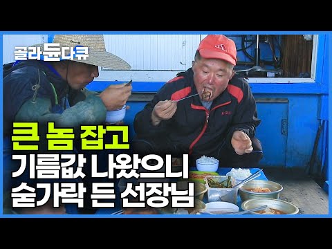 더워지기 시작하면 천정부지로 몸값 오르는 생선의 정체ㅣ큰 놈 하나만 잡아도 기름값 나오는 민어잡이ㅣ여름 보양식ㅣ한국기행ㅣ#골라듄다큐