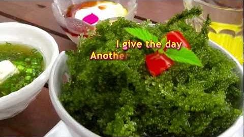 June 6, 2011 - A Safe Place - (Now 675,000 Fans on our FB!!)