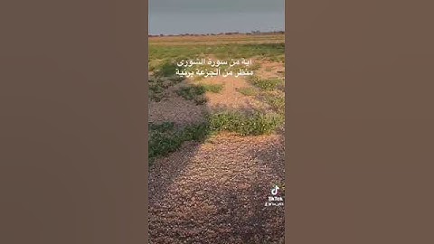 دحيم الحماد ١٤٤٤هـ آية من سورة الشورى