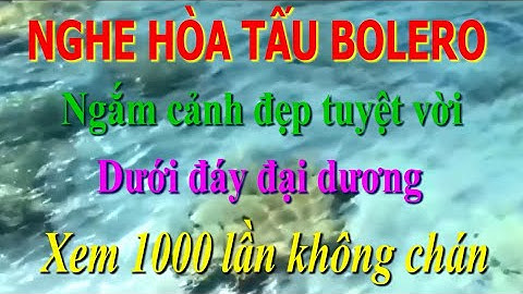 Hòa tấu bolero cực phê - Ngắm cảnh đẹp tuyệt vời dưới đáy đại dương. |Chung Râu|