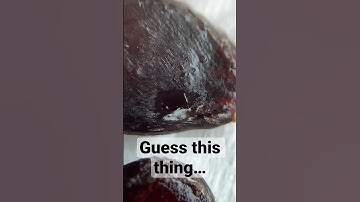 Guess this thing.. #macro #macrophotography #macrophoto #macrovideo #macroworld watermelon seeds