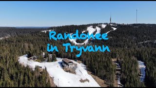 Easter 2020 (Randonee in Wyller Tryvann)