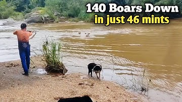 TOP 140 BEST WILD BOARS HUNTS Hunting 140 wild boars 