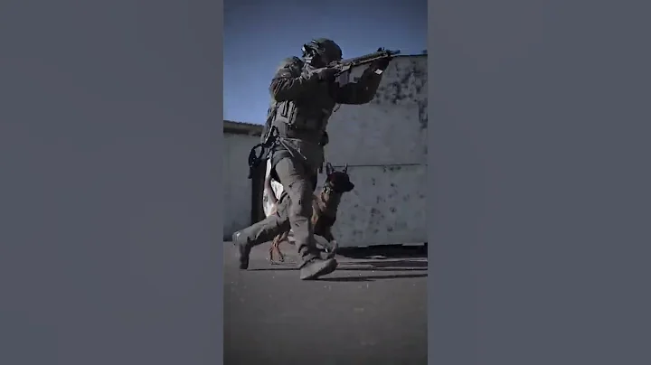 The Best Canine Pro Hub - Cutest jump ever