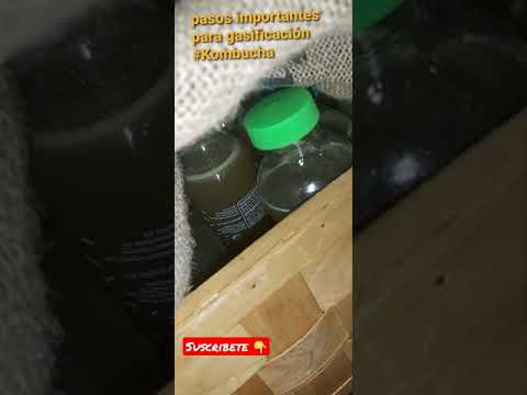 Pasos importantes para