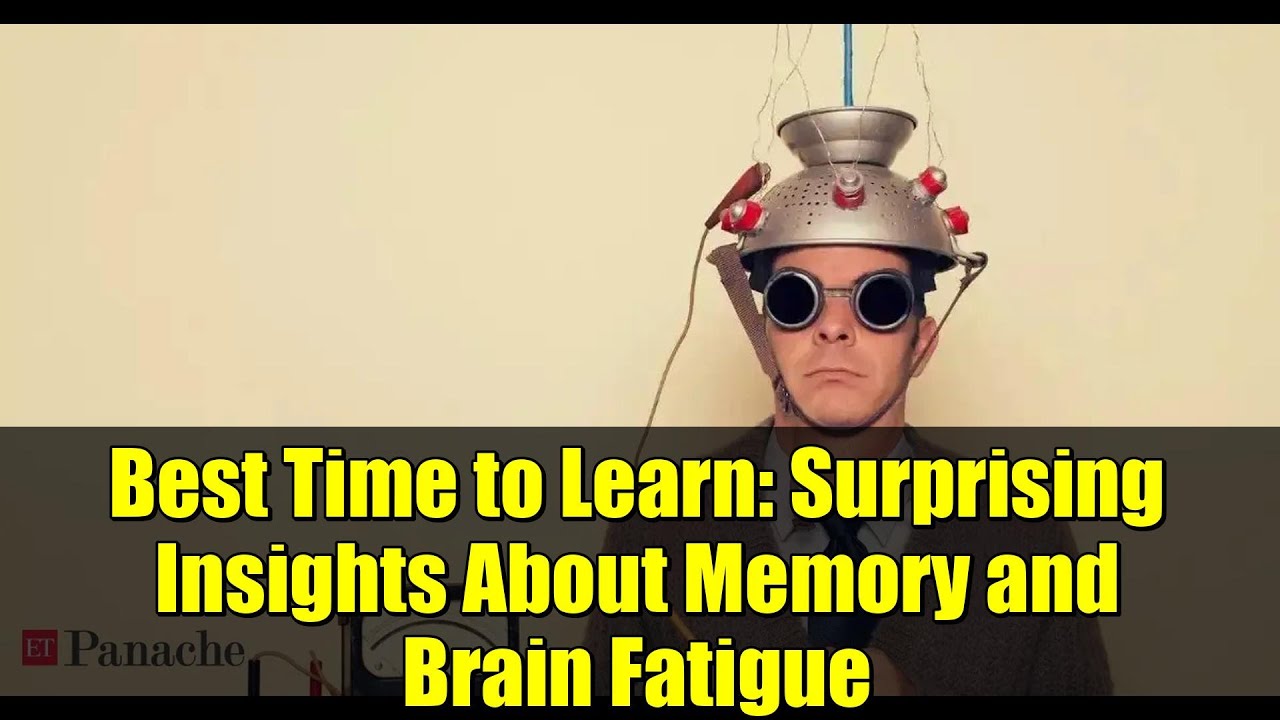 Best Time to Learn: Surprising Insights About Memory and Brain Fatigue