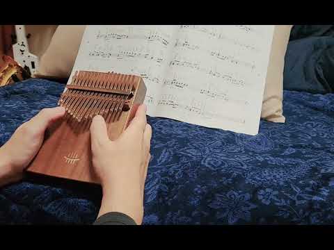 366日/HY（カリンバ練習）