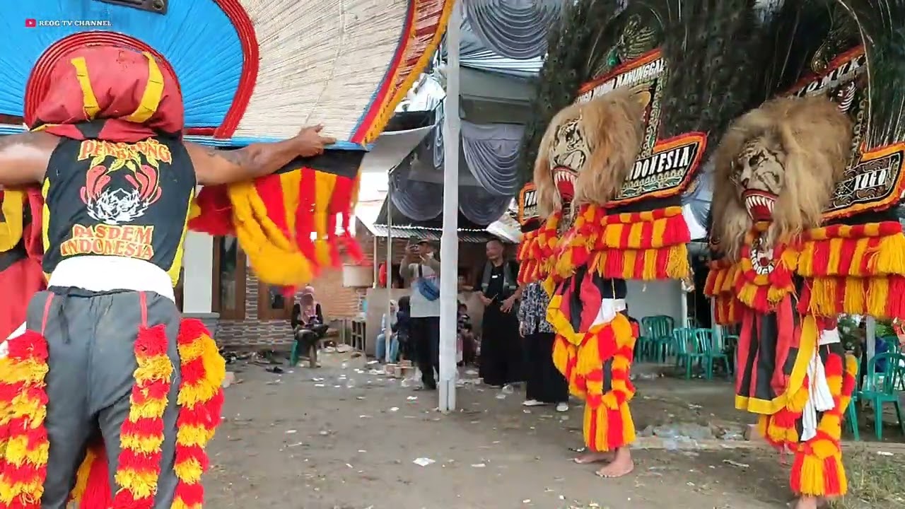 Seru Solah Reog Singo Jati Saling Serekan - Reog Ngamuk || Ds Blimbing Dolopo Madiun