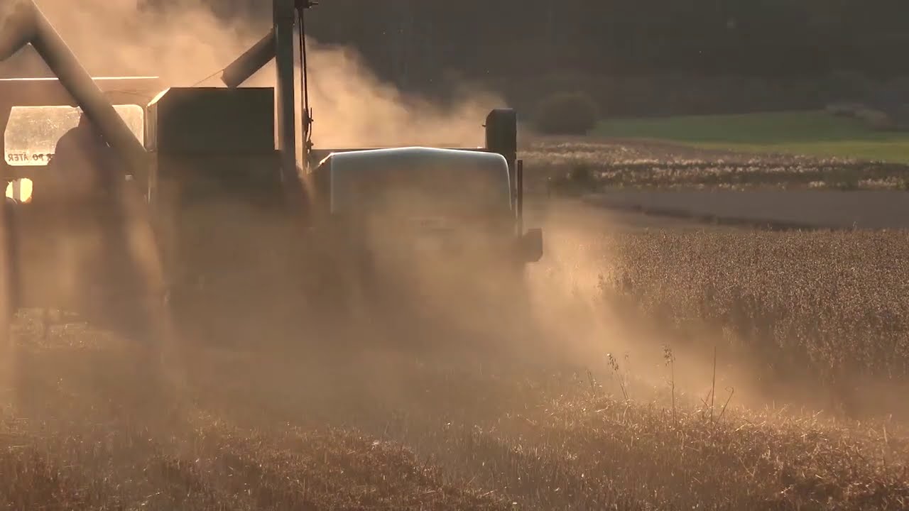 Drömskörd med Victor och Aktiv-tröska
