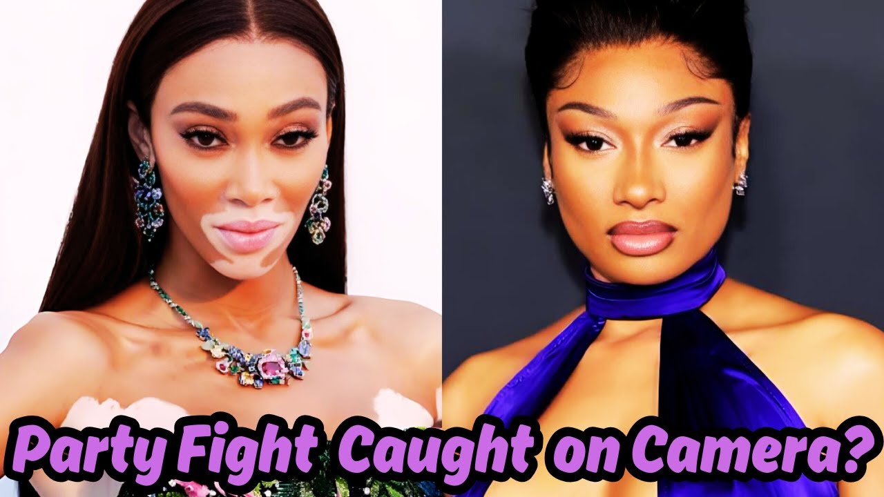 Megan Thee Stallion Fight Video AlcoholFueled Party Incident With