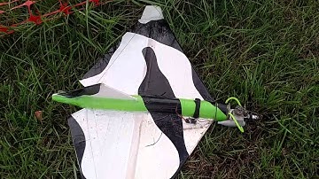 FlyFly Free Bird Glider and OS Max 10  Eraze Clone