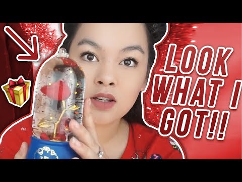 What I Got For Christmas 2017!?! 