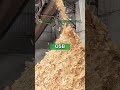OSB Factory Production Line Delivering Structural Strength And Reliability