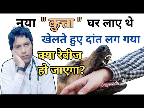 वीडियो: क्या पिल्ले अपने कुत्ते के दांत खो देंगे?