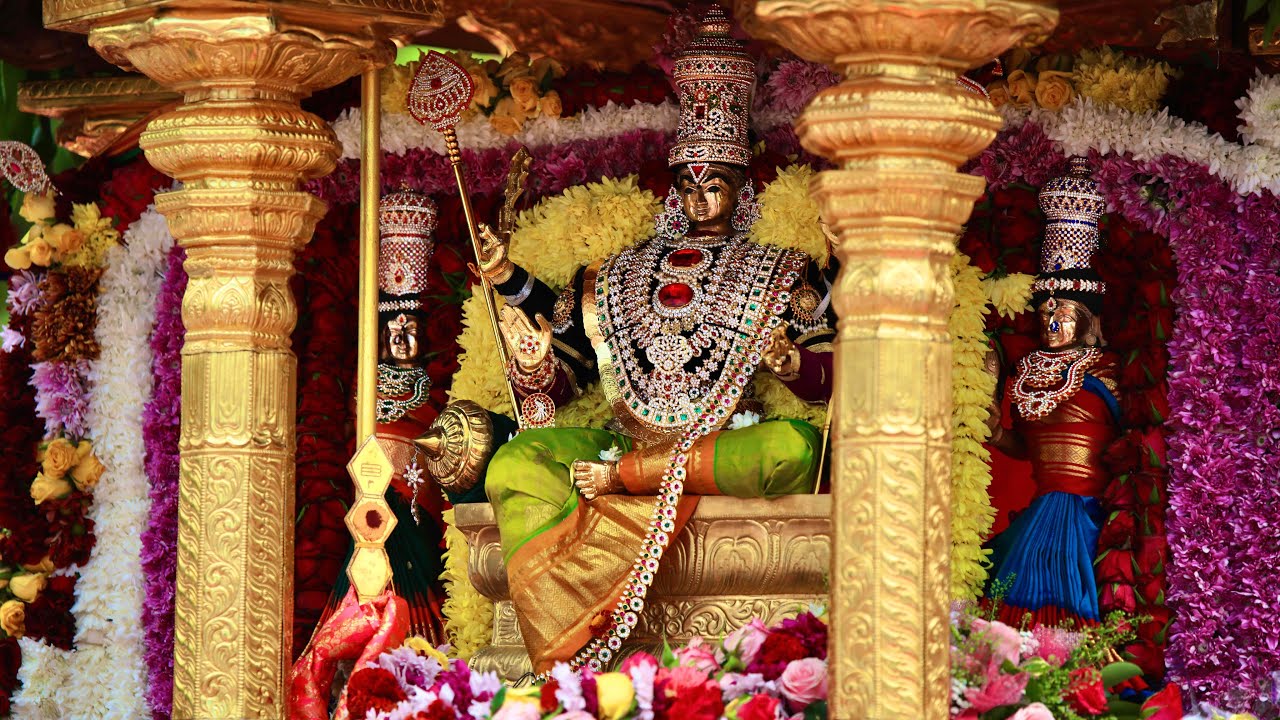 TaïPoussam Cavadee 2024 🦚 Temple Petit Bazar ✨ Saint-André 🩷