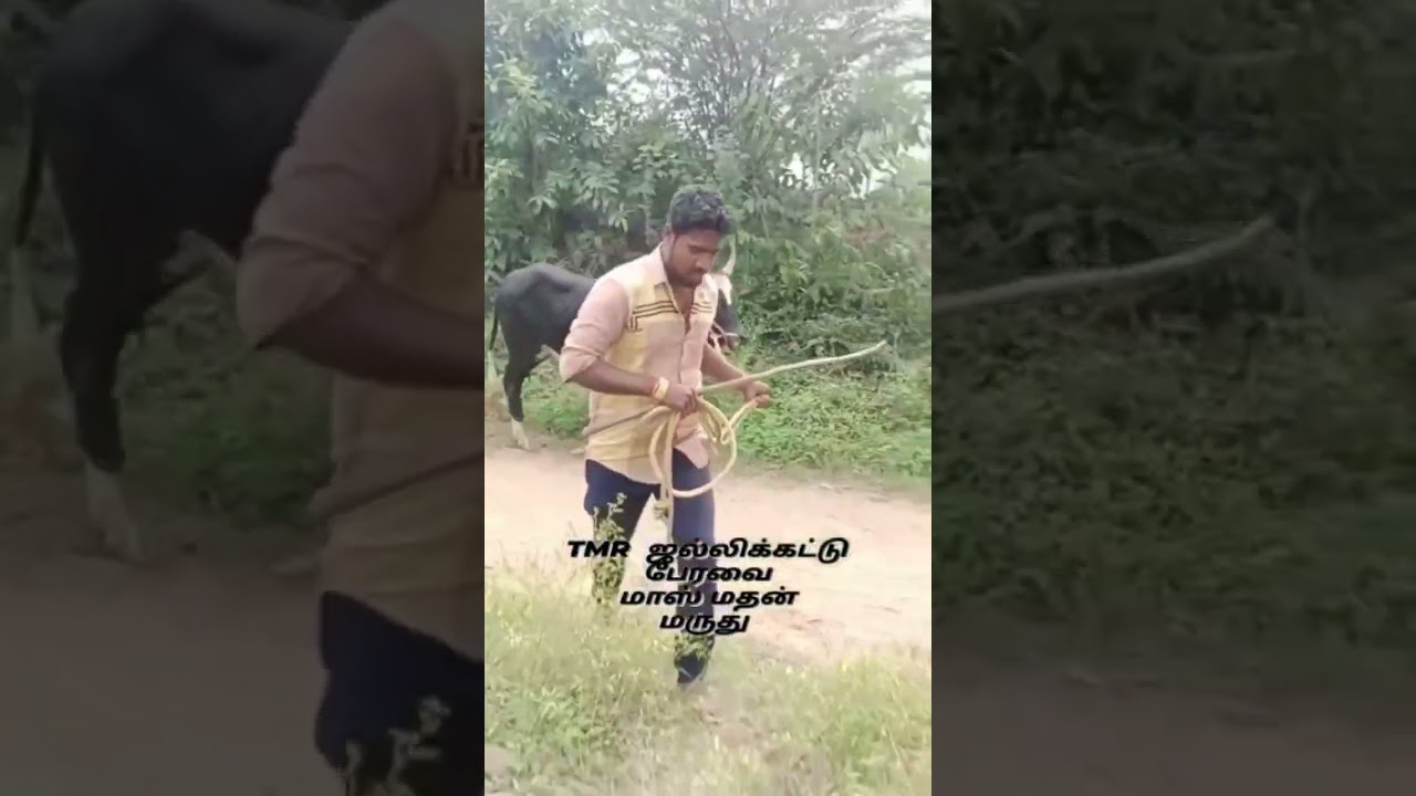 🔥 Thenmudiyanur 🔥 Mass 🔥 Mathan 🔥 madu 🔥🔥🔥