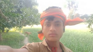 The user wants a website for vlog thumbnails. Since the request is a bit ambiguous ("vlogs thmnel" l