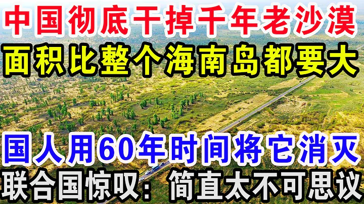 中國徹底幹掉千年老沙漠，面積比整個海南島都要大，國人用60年時間將它消滅，聯合國驚嘆：簡直太不可思議 - 天天要聞