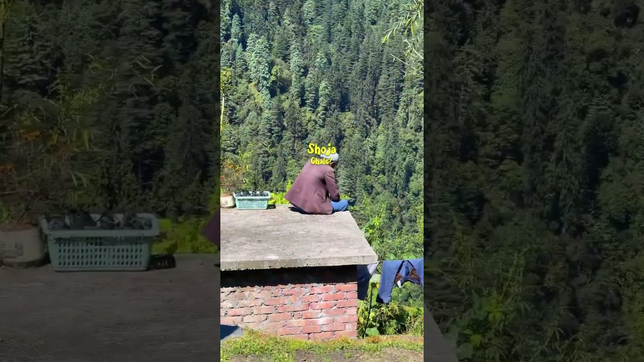 📍 Shoja  Himachal Pradesh  • 🏔️ Tucked between Jibhi and Jalori Pass  Shoja is that quiet Himalaya