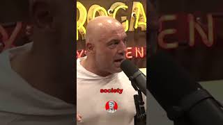 We've Not Been Given Access To The Tools That Can Help Us | Joe Rogan & Jordan Peterson