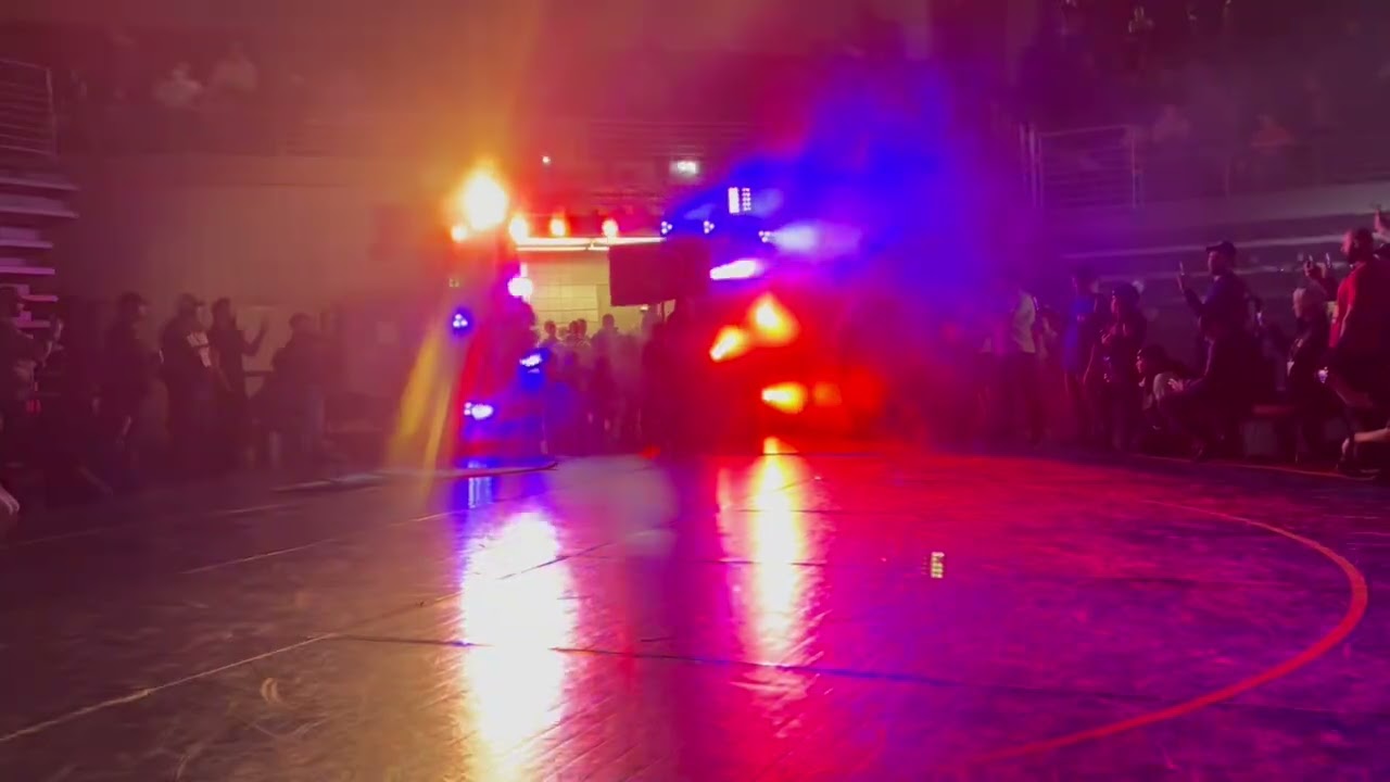 Beehive Brawl 12/12/2024