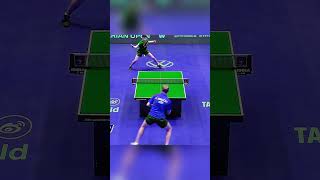 #wtt #table tennis #pingpong #shorts #usa #germany #japan