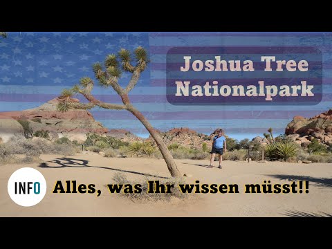 Video: Die 10 besten Wanderungen im Joshua Tree National Park