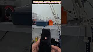 Daily Life Recording #20 - Service Unlock iCloud id &amp; Password for iPhone 15 Pro Max