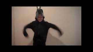 Harlem shake: Horse edition