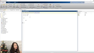COMO TRABALHAR COM VARIÁVEIS NO MATLAB?