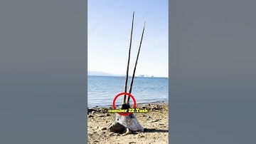 The Rarest Animals on Earth—Almost Impossible to Find! #shorts #RareAnimals #WildlifeFacts