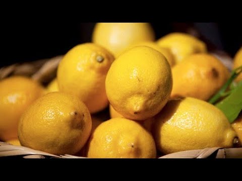 بدك تموني وتخزني عصير الليمون لمدة سنة وبدون براد أو تفريز تابعي الفيديو 