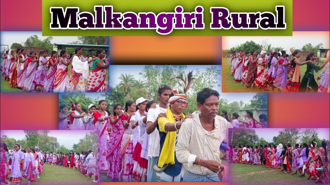 🌿🏹 Malkangiri Rural Folk Dance | Aadivasi 🏹 Folk Dance 🥀 Ashok Prime TV 🪷🥀
