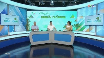 Chuyện nhà nông 20/11/2022 | Để Hợp tác xã phát triển năng động, hiệu quả | BRT TV