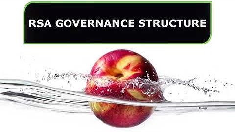 RSA Governance Structure