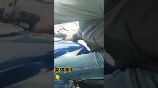 shortsgass Pollbestshorts