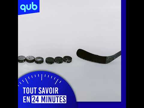 LNH ça A Brassé En Floride Hier 