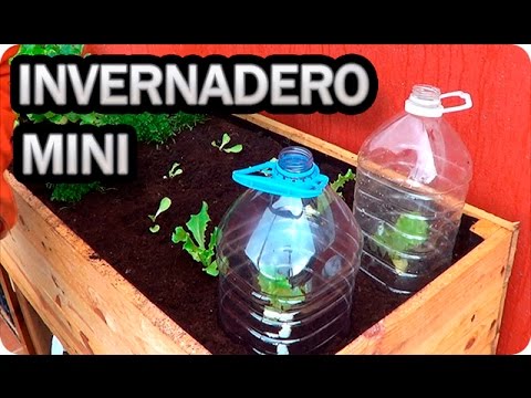 Como hacer invernadero casero