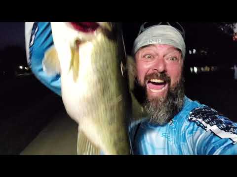 HUGE bass in