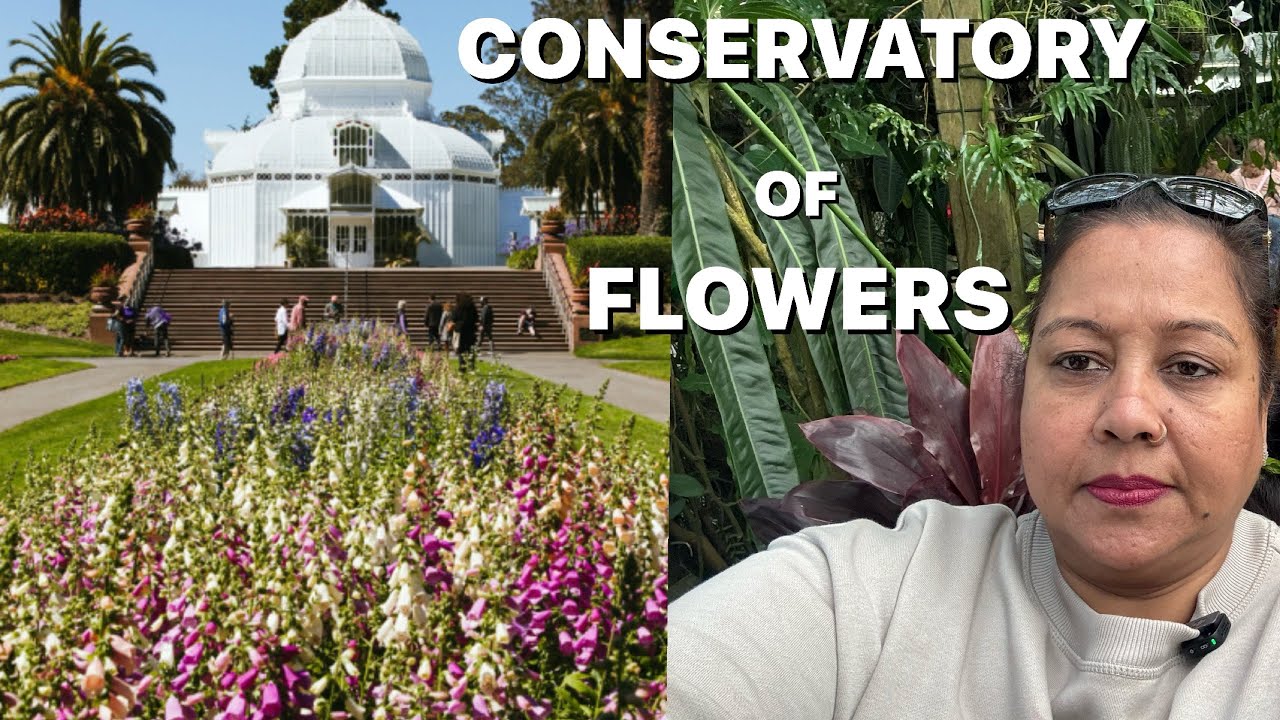 Оранжерея цветов 🌹 (Как сохранить цветы и растения, которым 2000 лет)
