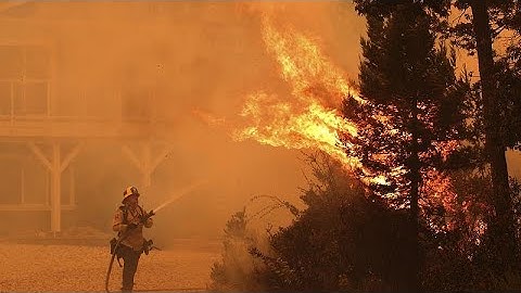 Waldbrände in Kalifornien - Tausende fliehen vor den Flammen