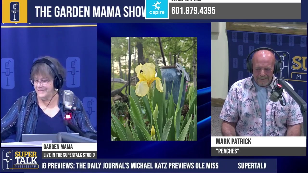 Container Vegetables Roses & Fire Ant Fixes: Garden Mama Nellie & Peaches Dig Into Garden Solutions