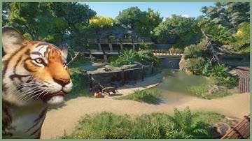 🐅Bengal tiger habitat | Soliuko Zoo | Planet Zoo | speedbuild🍁