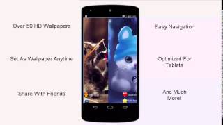 Cute Kitten FREE Wallpaper HD App screenshot 4