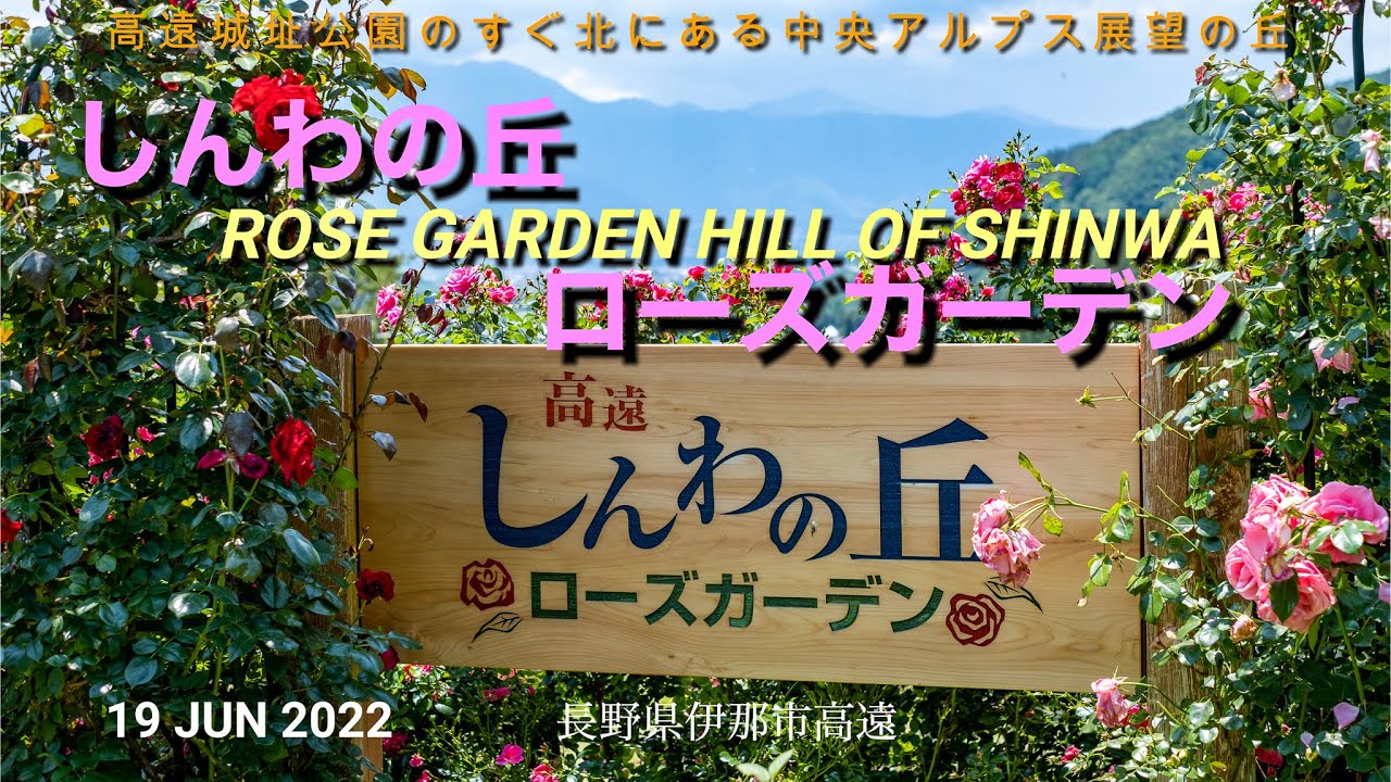 しんわの丘ローズガーデン19jun22 長野県伊那市高遠 Youtube
