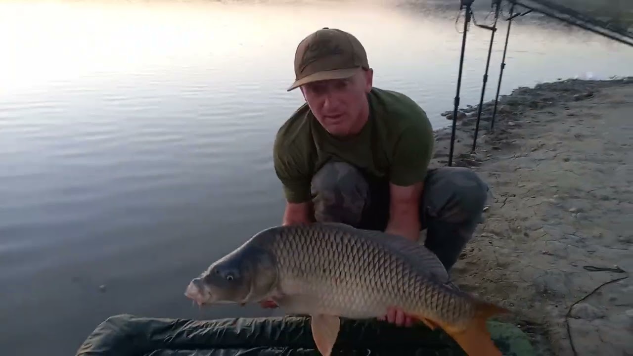 big carp 